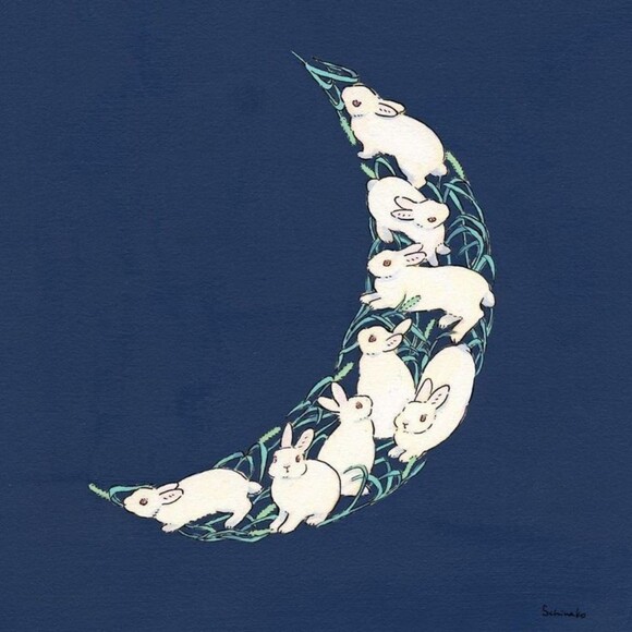 moonrabbit77